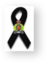 Stacks Image 11337328
